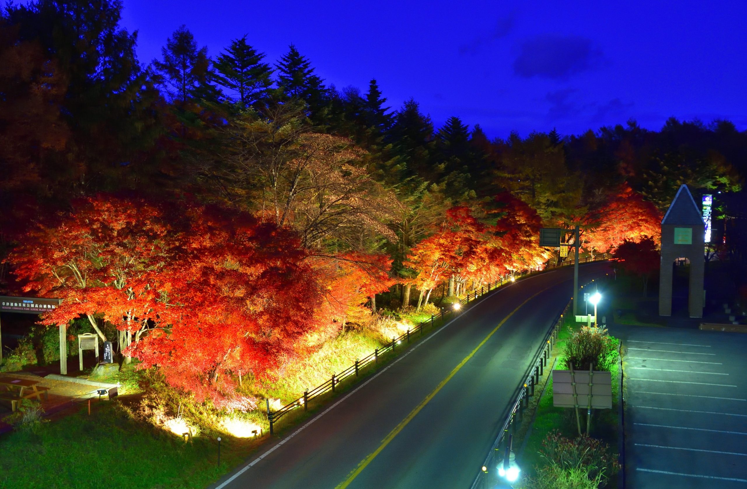 [草津温泉] 道の駅紅葉ライトアップ　２０２４